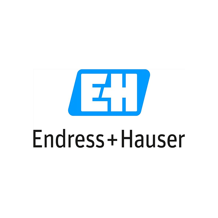 endress hauser