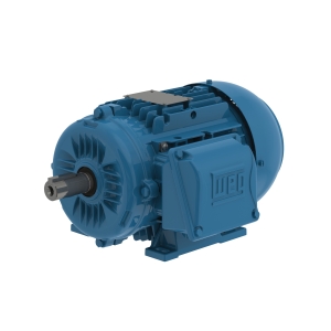 WEG 05536ET3Y250S/M-W22